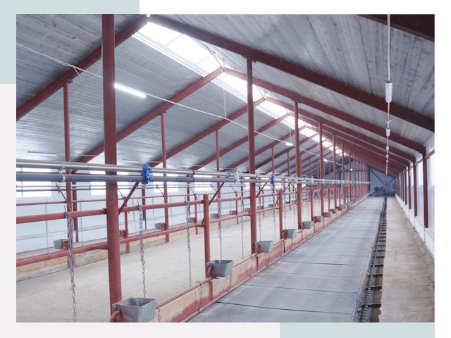 Строительство коровников в Чистополе от 614 руб.