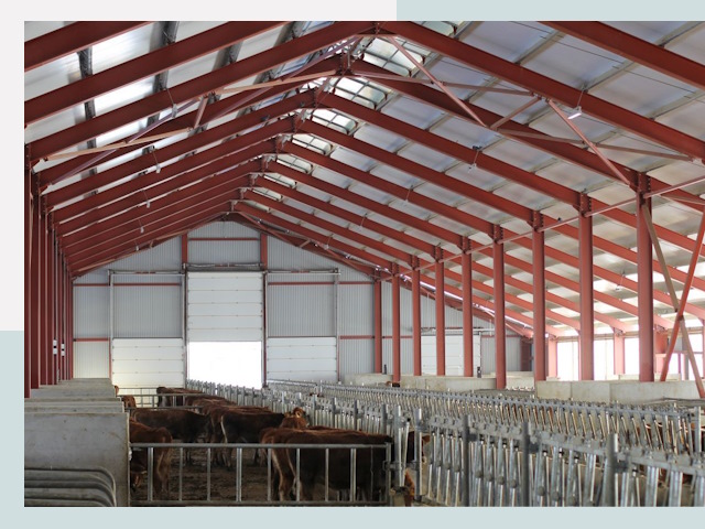 Строительство коровников в Чистополе