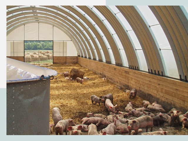 Строительство свинарников в Чистополе