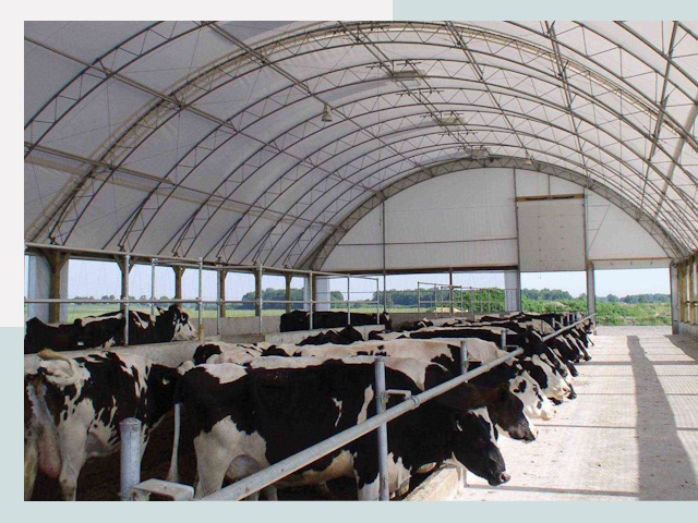 Тентовые коровники в Чистополе